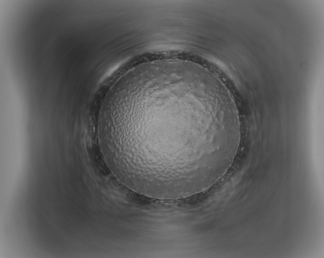 X0000113070871200908281152