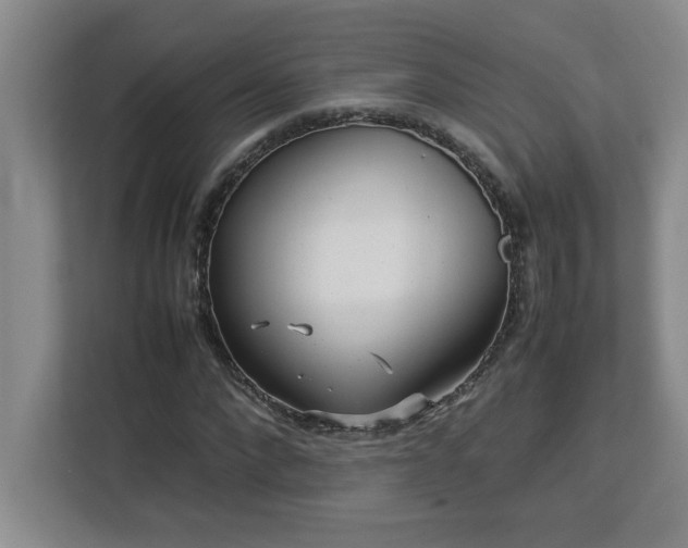 X0000113070872200908281152