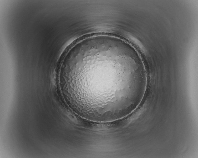 X0000113070875200908281152