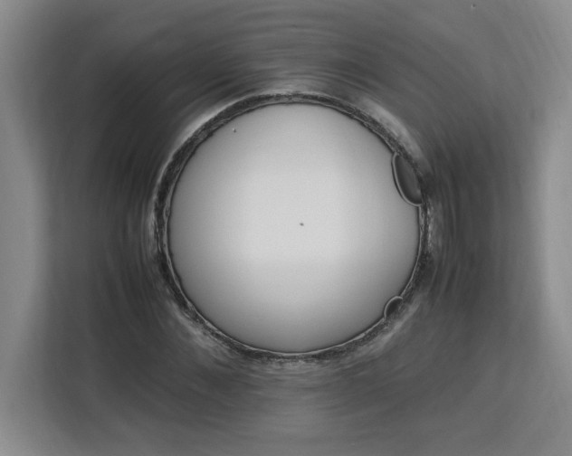 X0000113070876200908281152