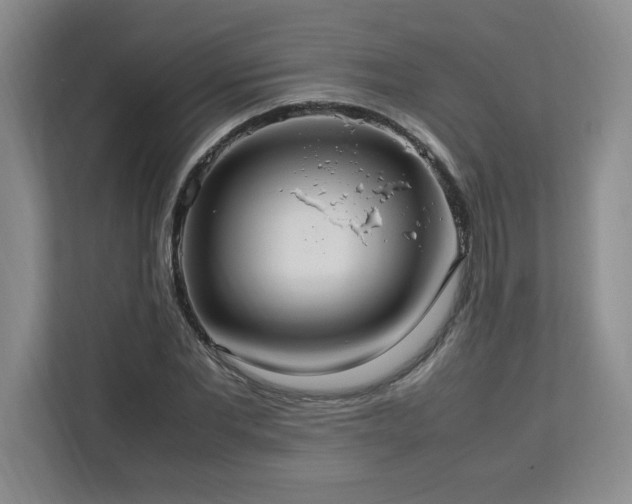 X0000113070877200908281152