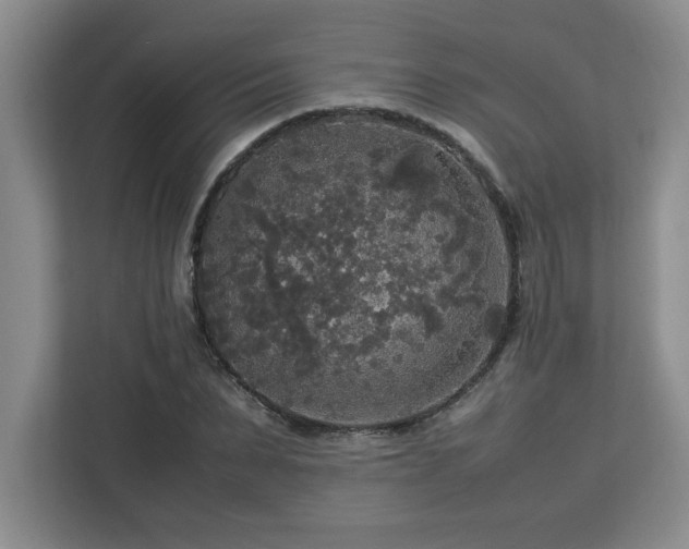 X0000113070879200908281152