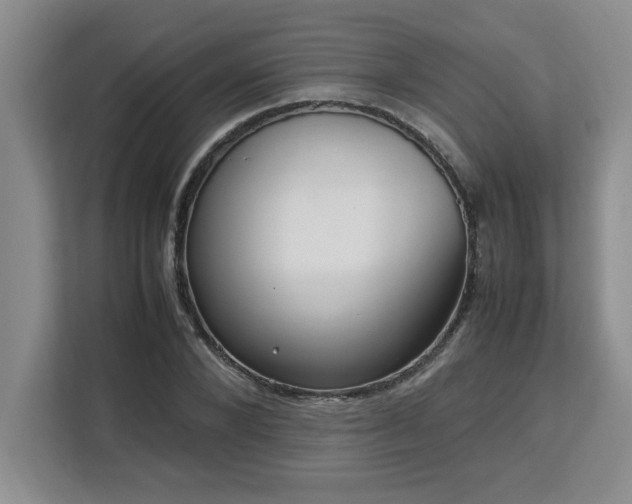X0000113070880200908281152