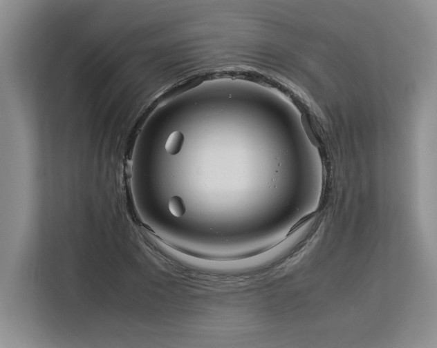 X0000113070881200908281152