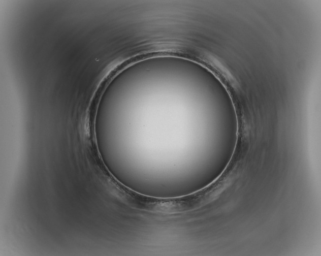 X0000113070883200908281152