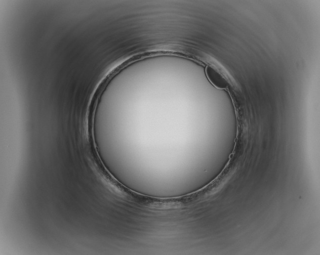 X0000113070884200908281152
