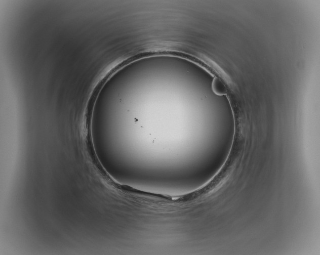 X0000113070885200908281152