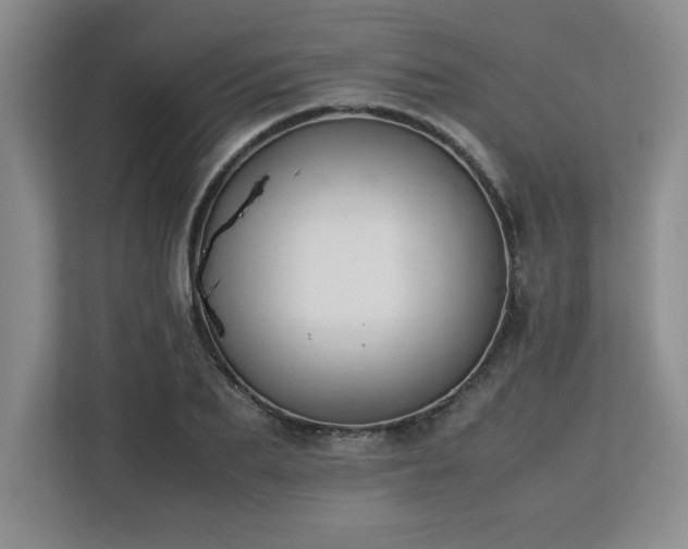 X0000113070887200908281152