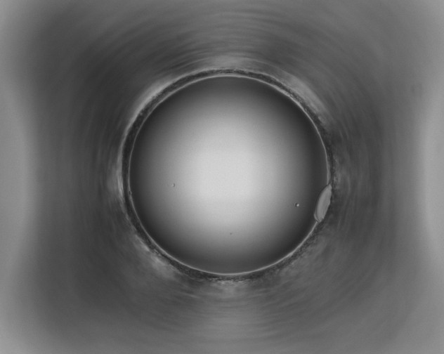 X0000113070888200908281152