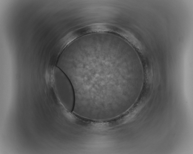 X0000113070889200908281152