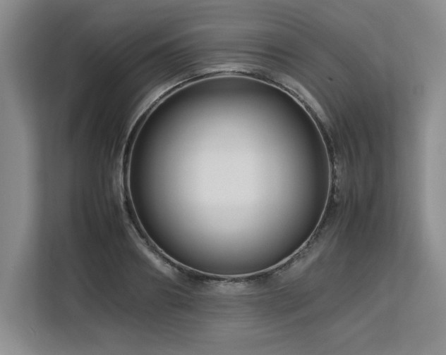 X0000113070890200908281152