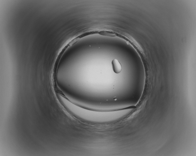 X0000113070893200908281152
