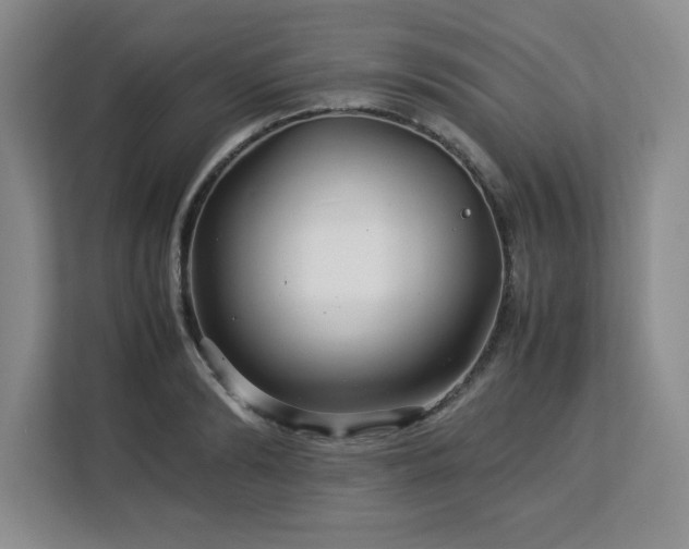 X0000113070894200908281152