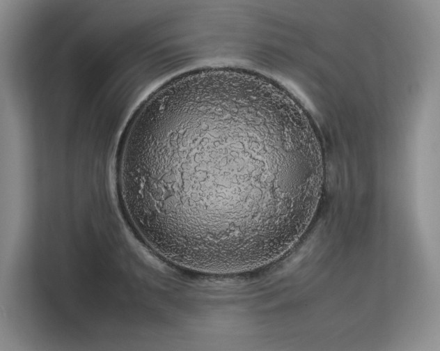 X0000113070895200908281152