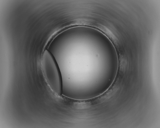 X0000113070896200908281152
