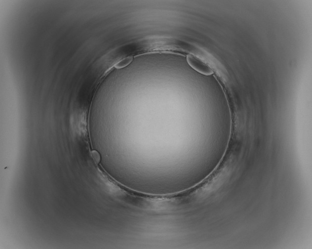 X0000113070897200908281152