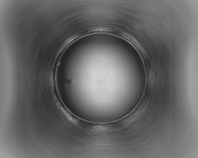 X0000113070898200908281152
