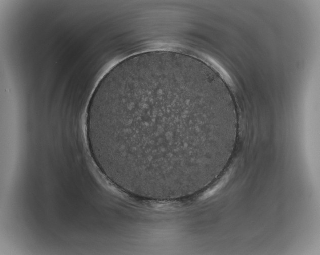 X0000113070899200908281152