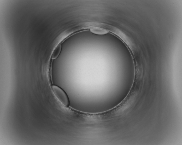 X0000113070901200908281152