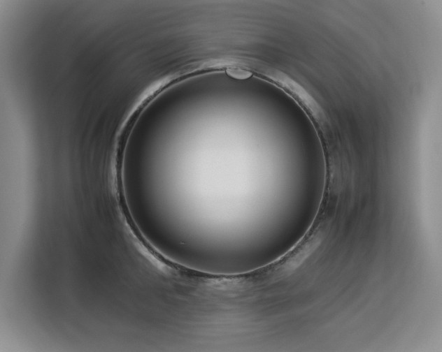 X0000113070902200908281152