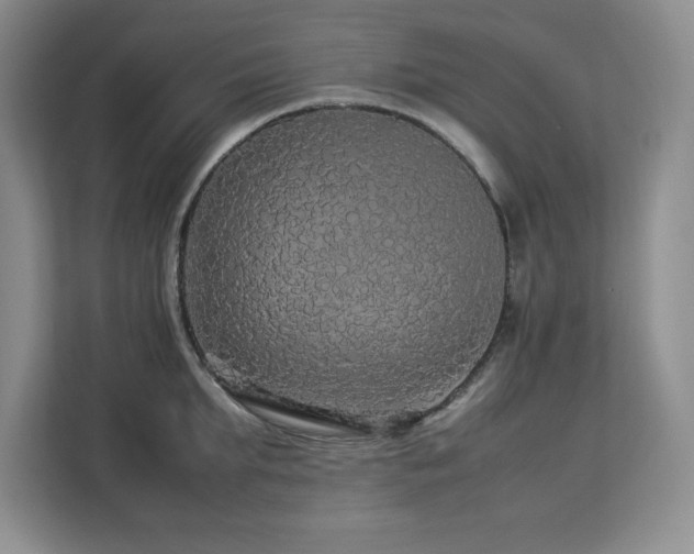 X0000113070903200908281152