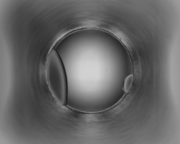 X0000113070904200908281152