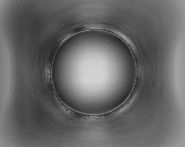 X0000113070905200908281152