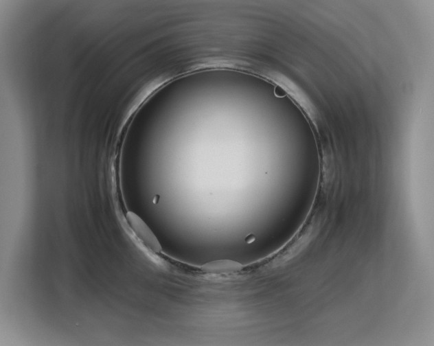 X0000113070906200908281152