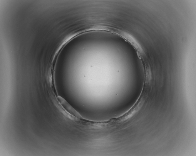 X0000113070908200908281152