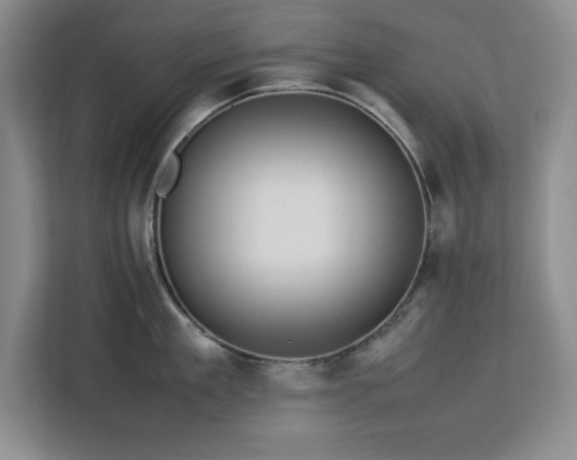 X0000113070909200908281152