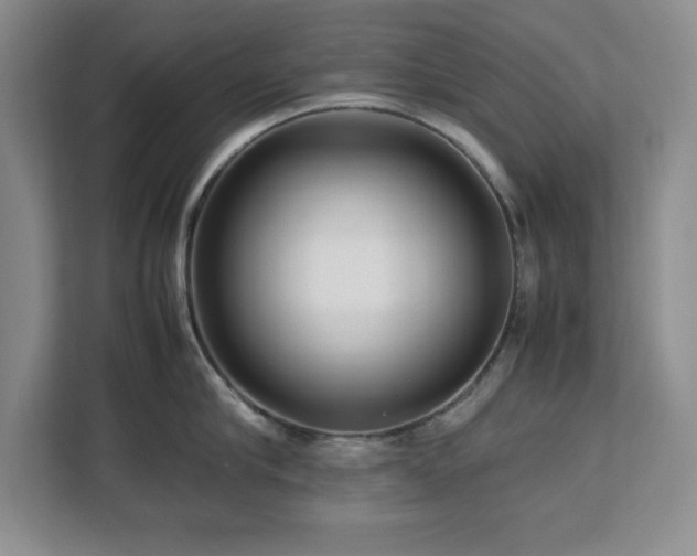X0000113070910200908281152