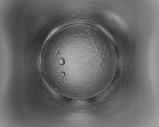 X0000113070911200908281152