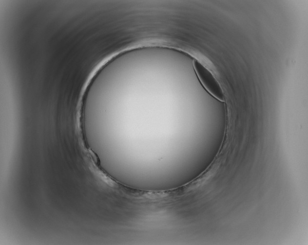 X0000113070912200908281152