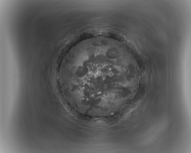 X0000113070913200908281151