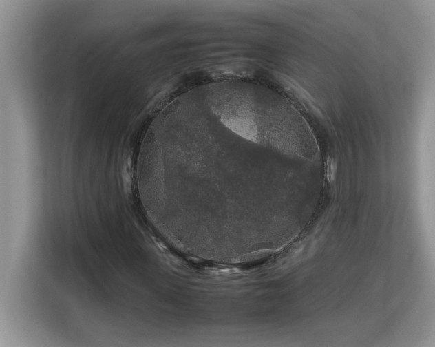 X0000113070915200908281151
