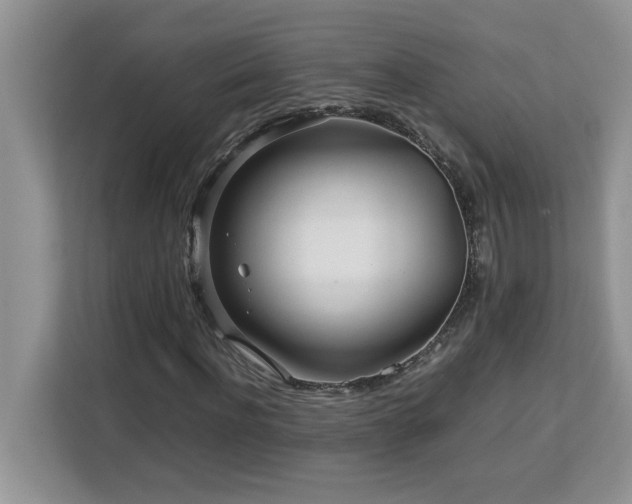 X0000113070916200908281151