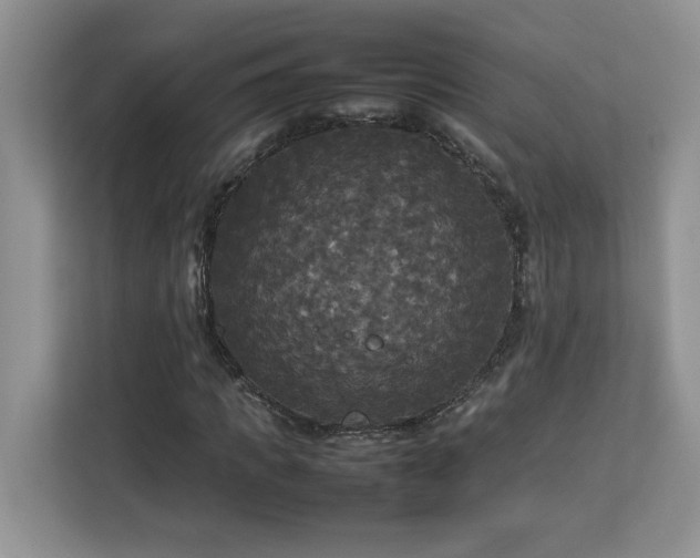 X0000113070917200908281151
