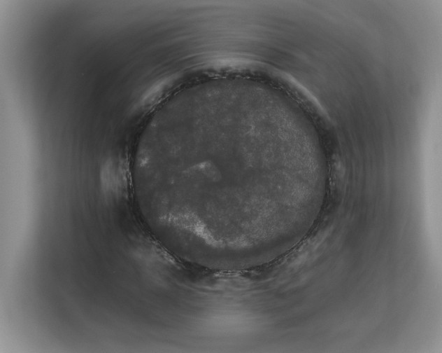 X0000113070918200908281151