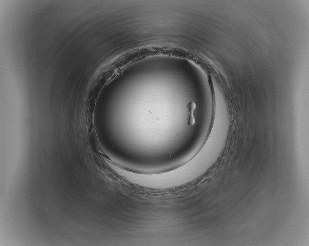 X0000113070920200908281151