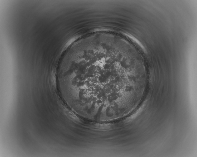 X0000113070921200908281151