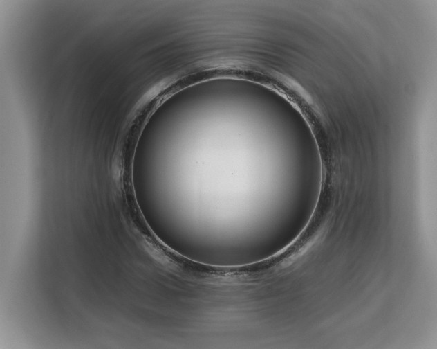X0000113070922200908281151