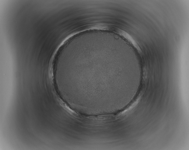 X0000113070923200908281151