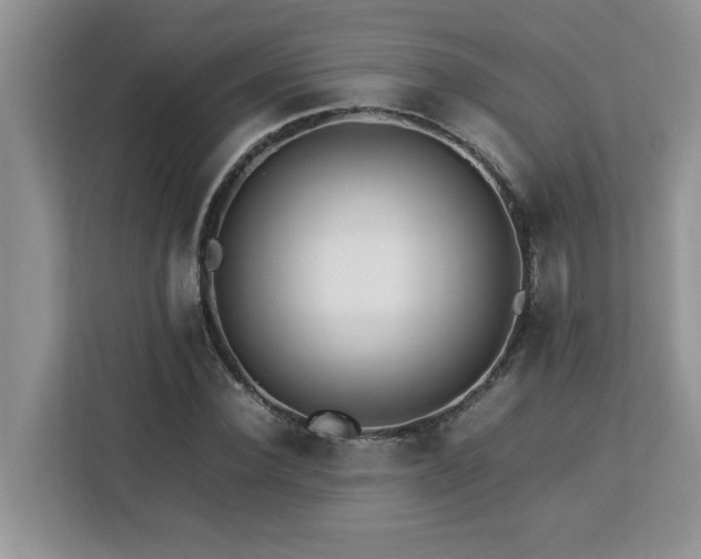 X0000113070924200908281151