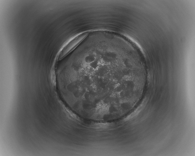 X0000113070925200908281151