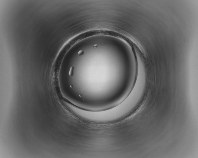 X0000113070926200908281151