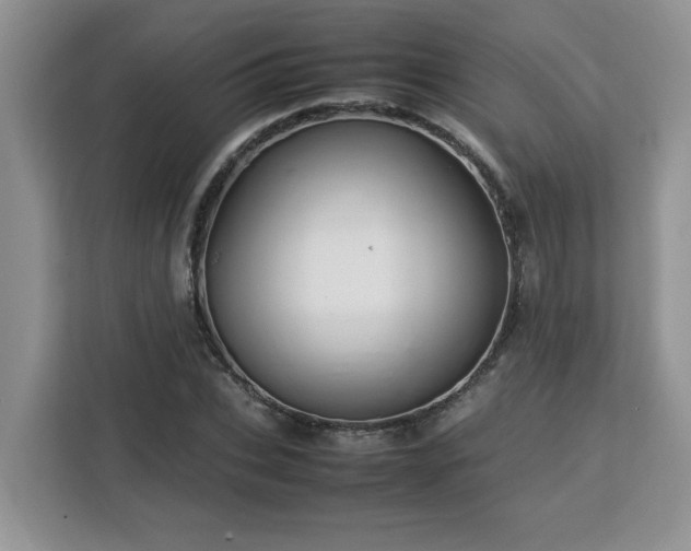 X0000113070927200908281151