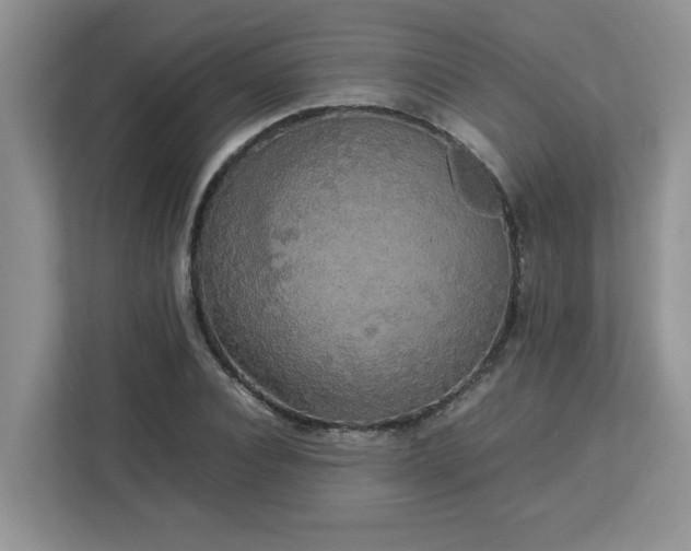 X0000113070928200908281151