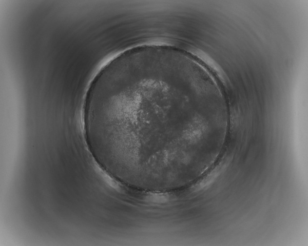 X0000113070935200908281151
