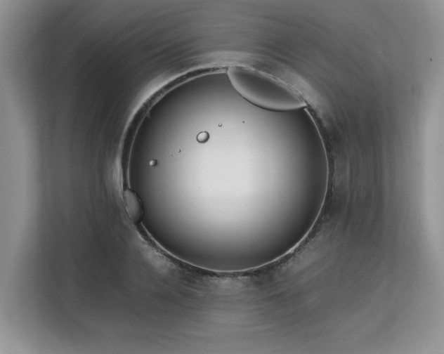 X0000113070936200908281151
