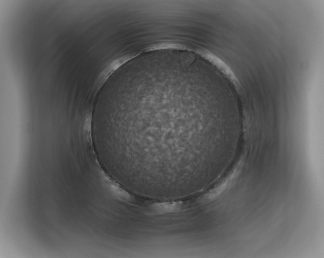 X0000113070937200908281151